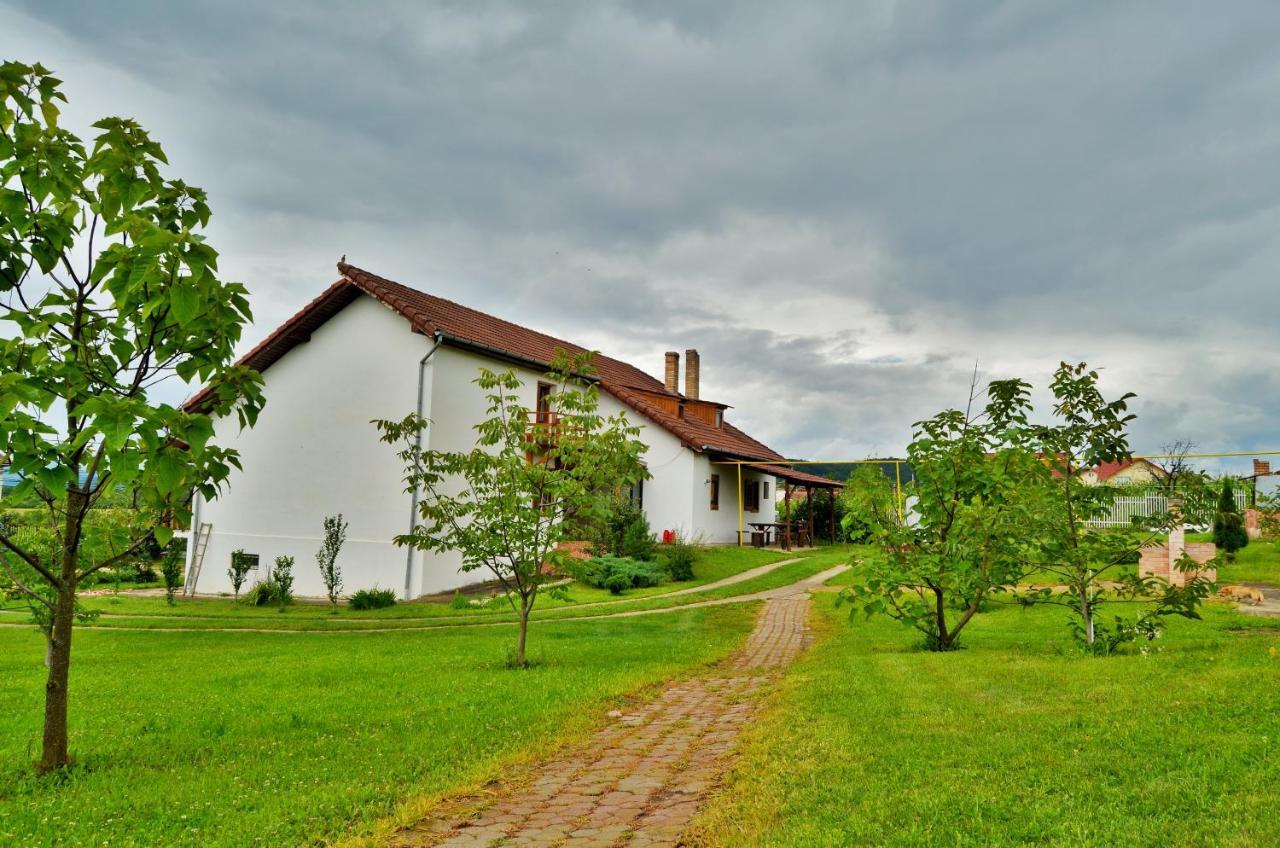 Vila Tara Hategului Zewnętrze zdjęcie