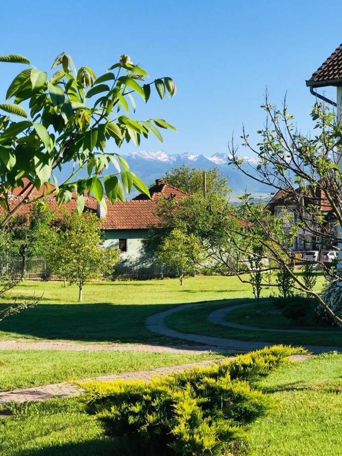 Vila Tara Hategului Zewnętrze zdjęcie